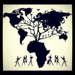 albero-forte-africa